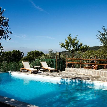 Genius Apartments San Savino  Exterior photo